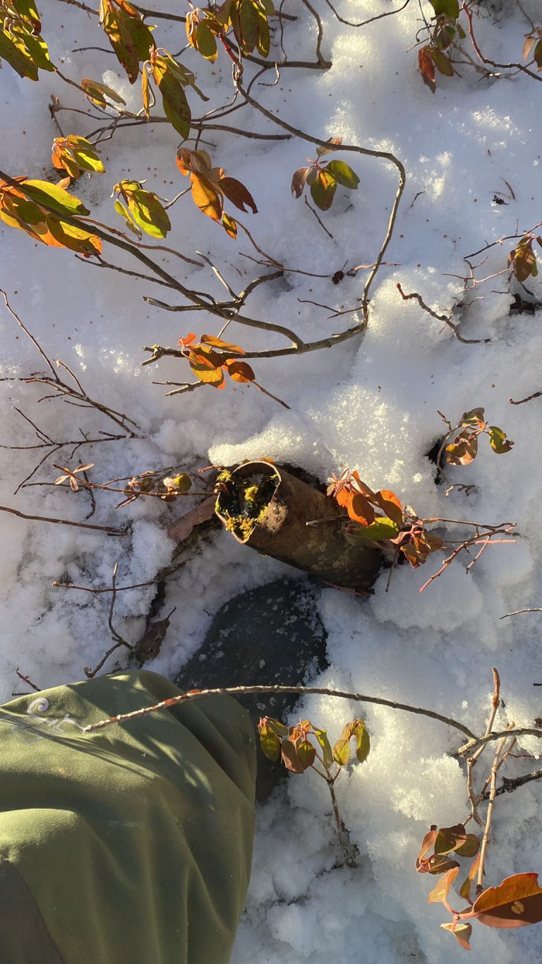 283d2b0f34681dea45e05df088392ad2fcc6db3f