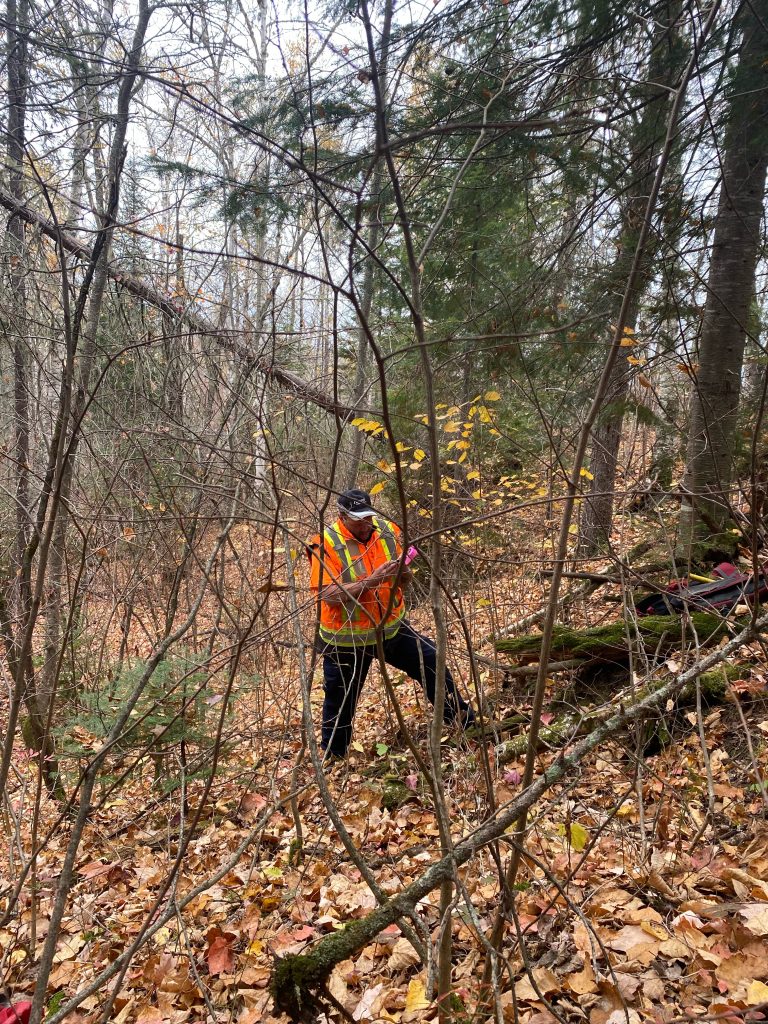 afd750eb0beff435eebdb56cdde0cdb4c15966d3